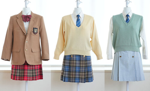  �������s �i�쏗�q�w�@������������ [�������Z�b�g �T�C�Y11-170] �~���ĕ� �X�J�[�g���{�^���Z�b�g