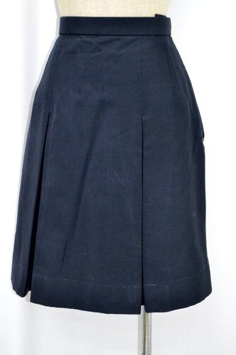  ����ʌ��� ����k�����w�Z �ăX�J�[�g ���n�t�� ��NA0615