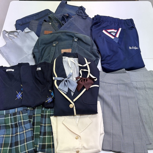 �_�ސ쌧 ���� ���Z�V���A���q���w�Z�����w�Z �~���ĕ��ꎮ ��� �J�o���������� [011706]