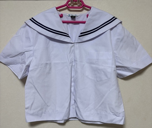 �a�̎R�� �a�̎R�s���M�u���w�Z�@���q�����@�Z�[���[��3���E�X�J�[�g