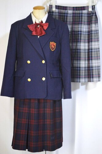  ����ʌ� �Y�a�w�@�����w�Z �u���U�[�~�ĕ� ���{����JT5650