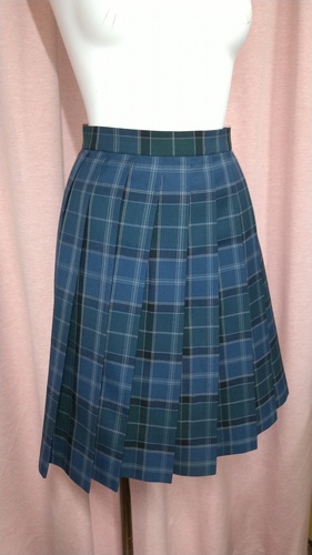 [�s��] No.94 �`�F�b�N�~�j�X�J�[�g �s���~����