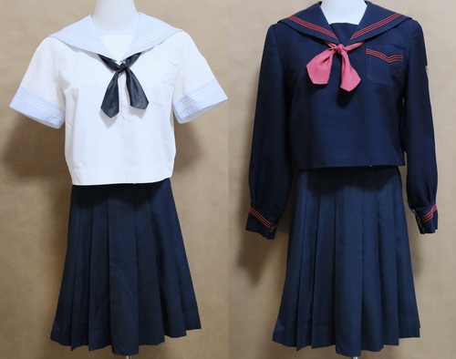 �_�ސ쌧 �t�F���X���w�@�����w�Z ���q���� �~�Ĉꎮ 