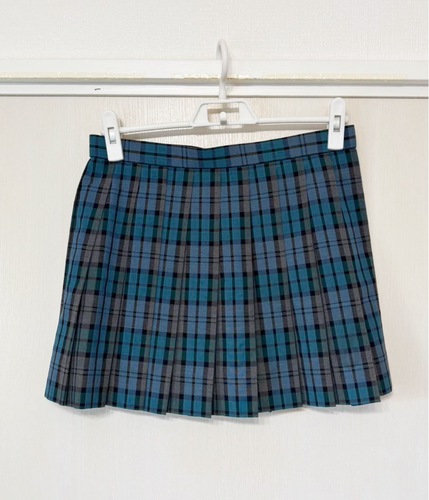 �_�ސ쌧 �_�ސ쌧���V�h�����w�Z �ăX�J�[�g �w��i ���K�i �u��267�v