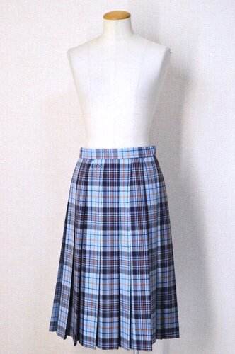  ���傫�� ��ʌ� ���a�w�������w�Z �Ǖ��`�F�b�N�~�X�J�[�g��T6217