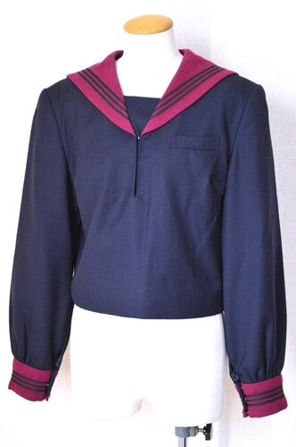  ���_�ސ쌧 ���l�����w�����w�Z�E�����w�Z �Z�[���[�~���ざT6225