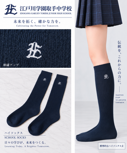 ��錧 �]�ː�w����蒆�w�Z�@�n�C�\�b�N�X�@�����p�@���n�ɔ��h�J